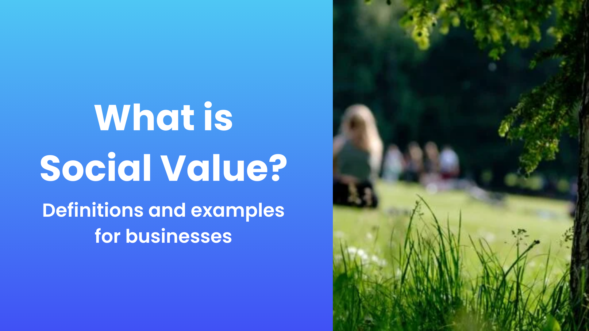 What is Social Value